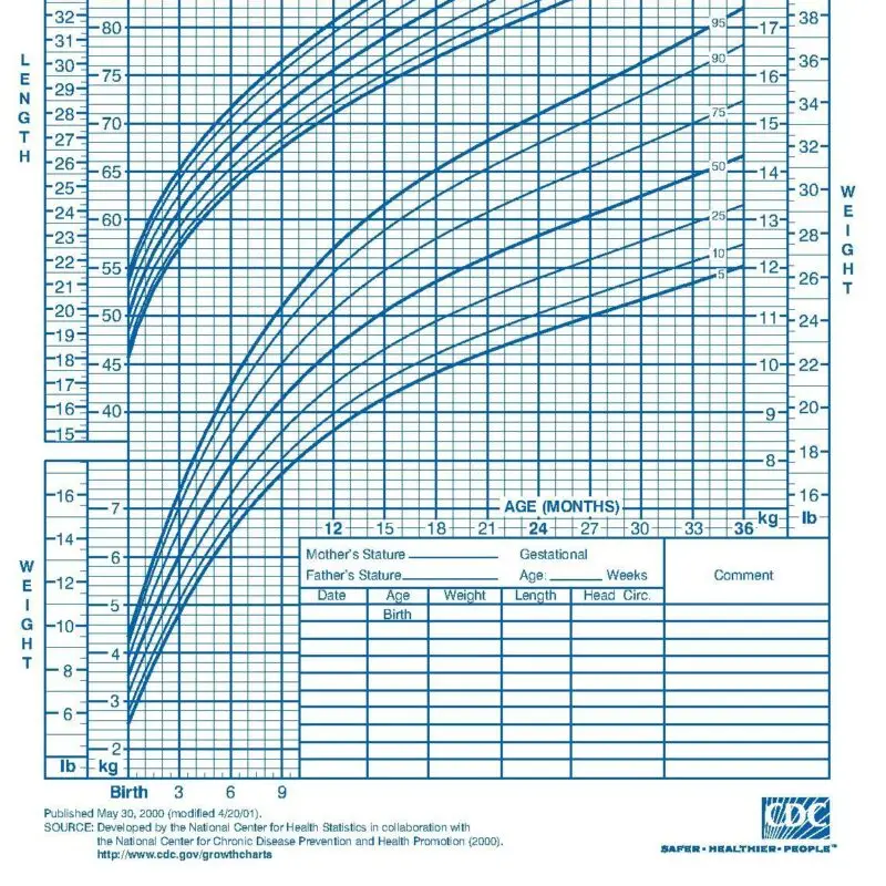 A chart of the height and weight of a child.