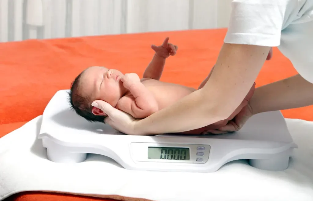 How to Calculate Percent Weight