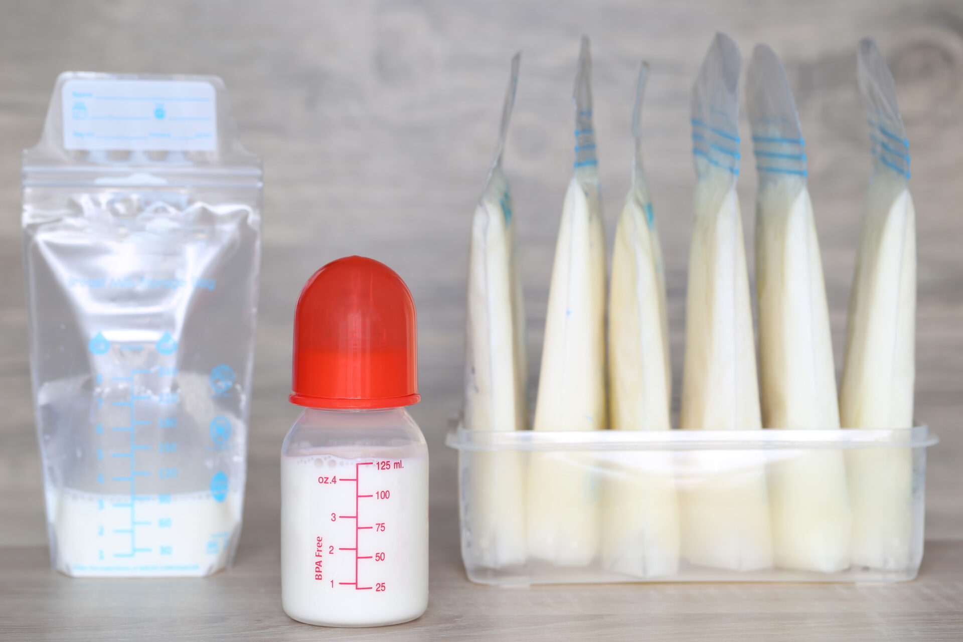 User Dashboard Overview - Fed Is Best Book