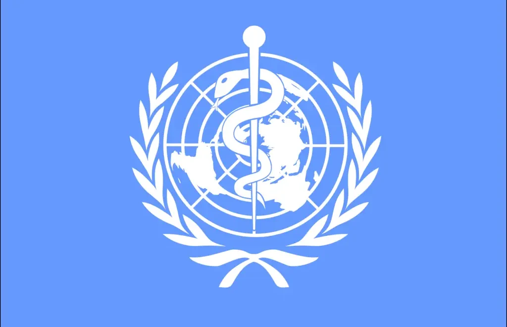 WHO Expert Panel Review of the Ten Steps