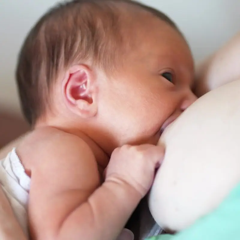 A baby is sucking on the breast of another infant.