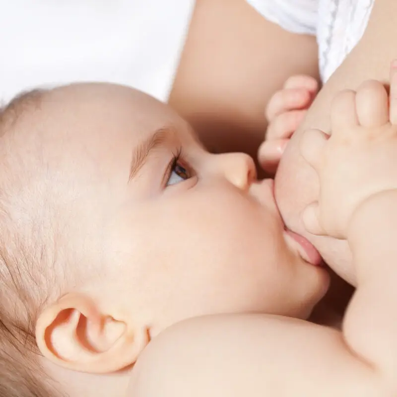 A baby is sucking on the breast of another infant.